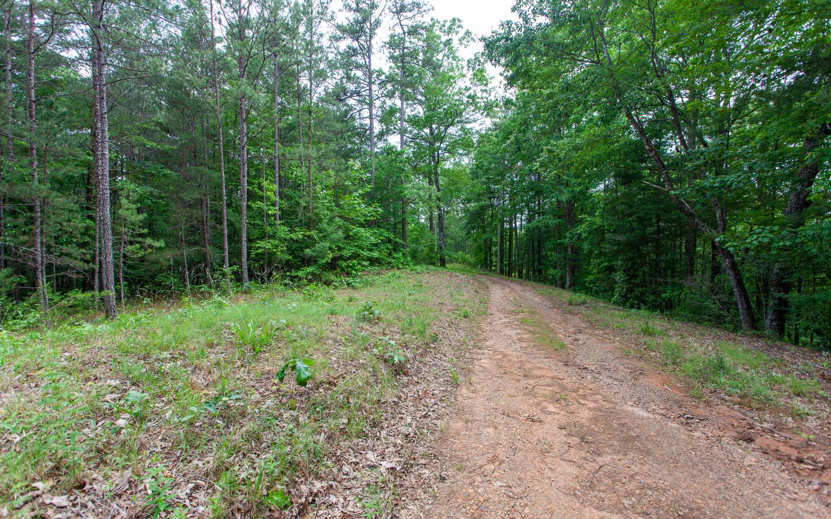 0 Mountain View Road Murphy, NC 28906 - Photo 4 of 22 Additional View