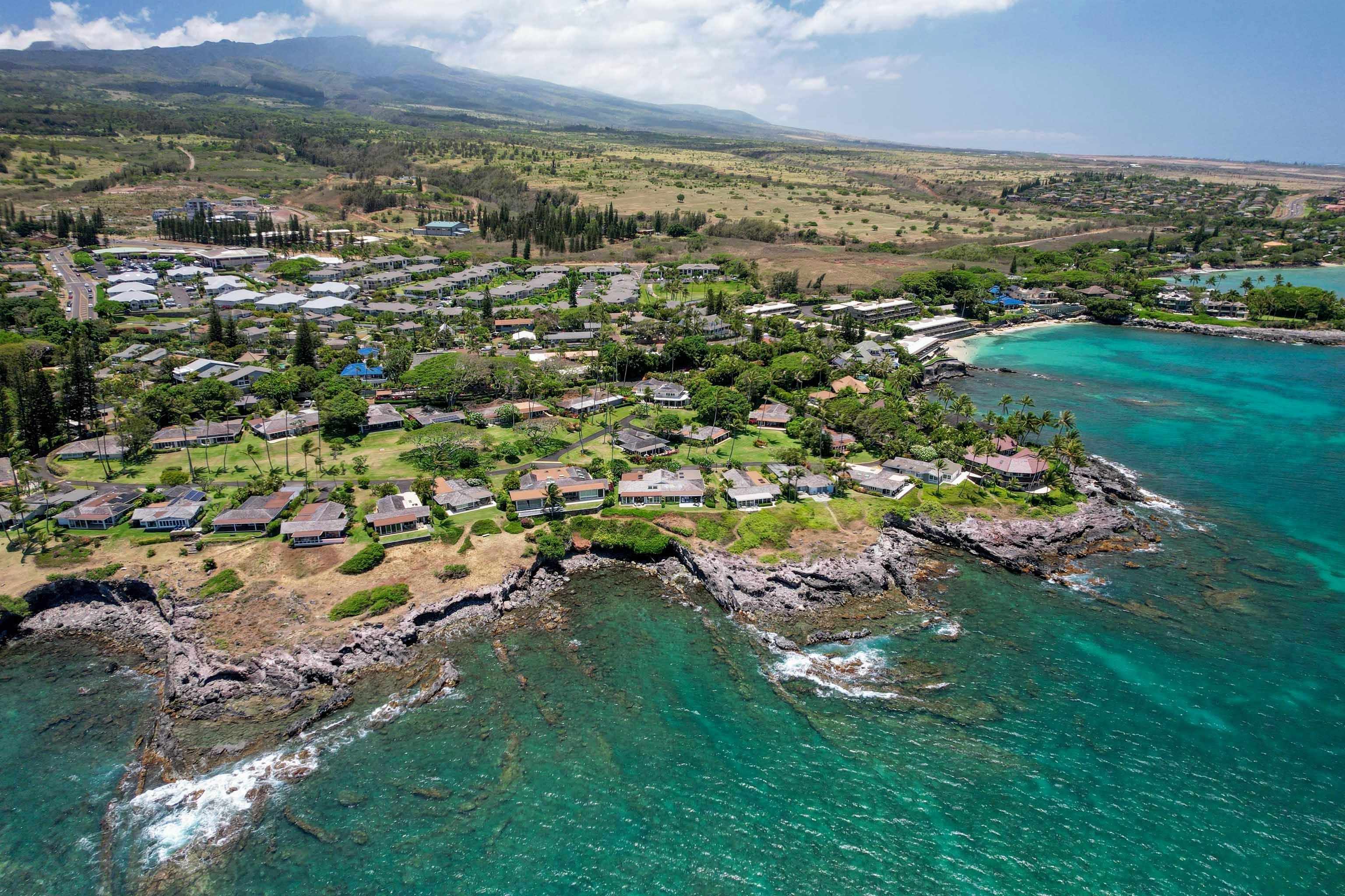 20 Hui Road East, Unit 30 Lahaina, HI 96761 - Photo 23 of 25 an aerial view of residential houses with outdoor space and trees