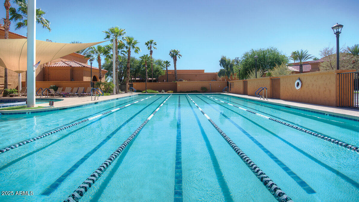 16495 West Almeria Road Goodyear, AZ 85395 - Photo 54 of 62 Lap Pool