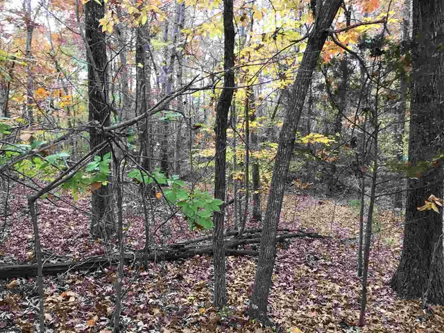 $9,500 | 4 Country Woods Drive, Selmer, TN 38375