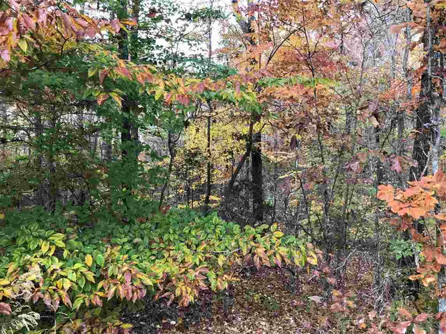 $9,500 | 4 Country Woods Drive, Selmer, TN 38375