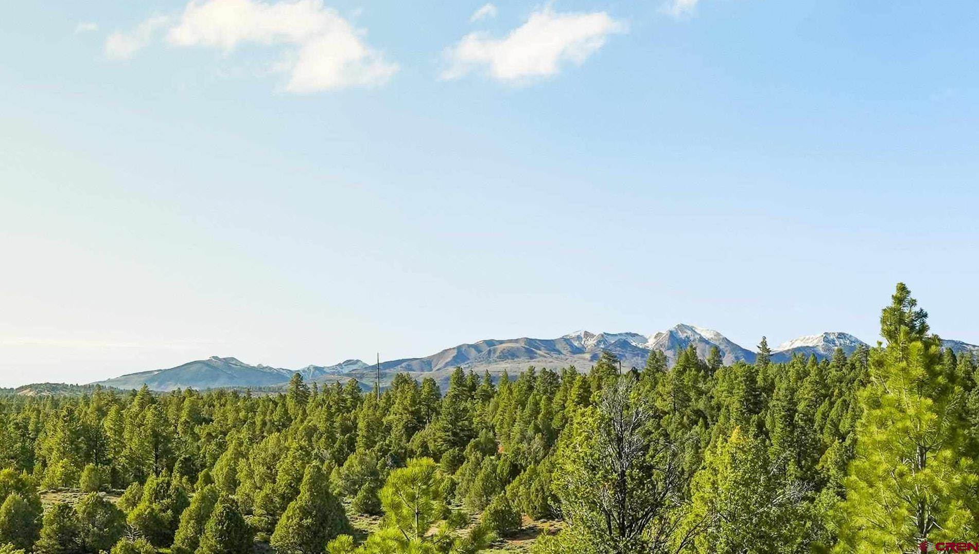 287 Wildcat Road Hesperus, CO 81326 - Photo 4 of 44