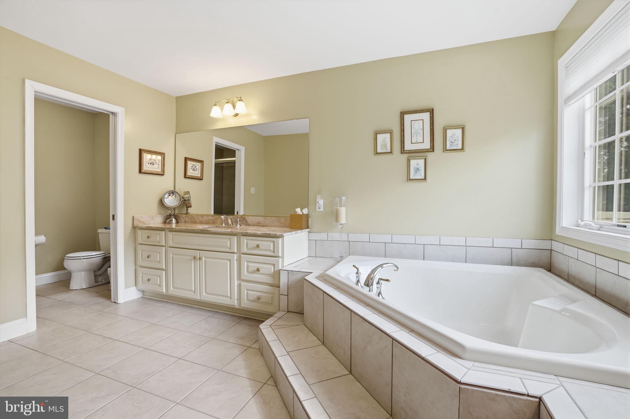 1588 Wrightstown Road Newtown, PA 18940 - Photo 54 of 81 Master Bath