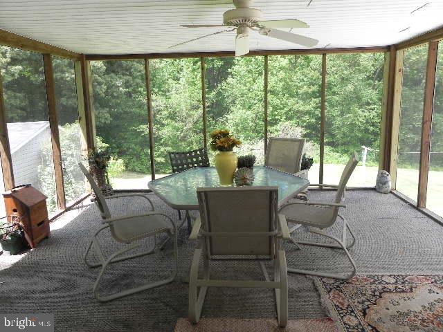1489 Williams Farm Road King George, VA 22485 - Photo 22 of 33 Screened in back covered porch