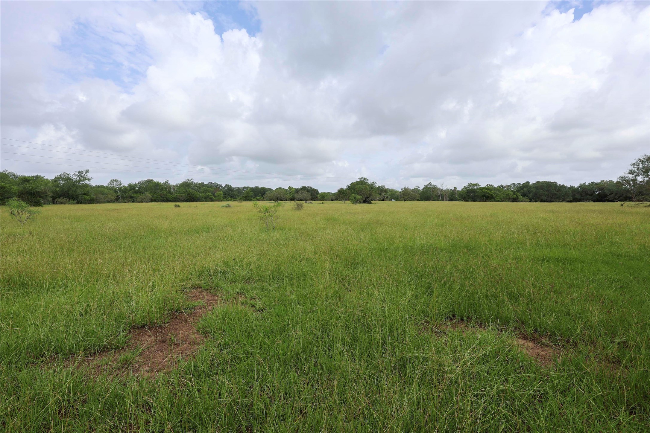1340 Cr 253 Road Weimar, TX 78962 - Photo 15 of 18