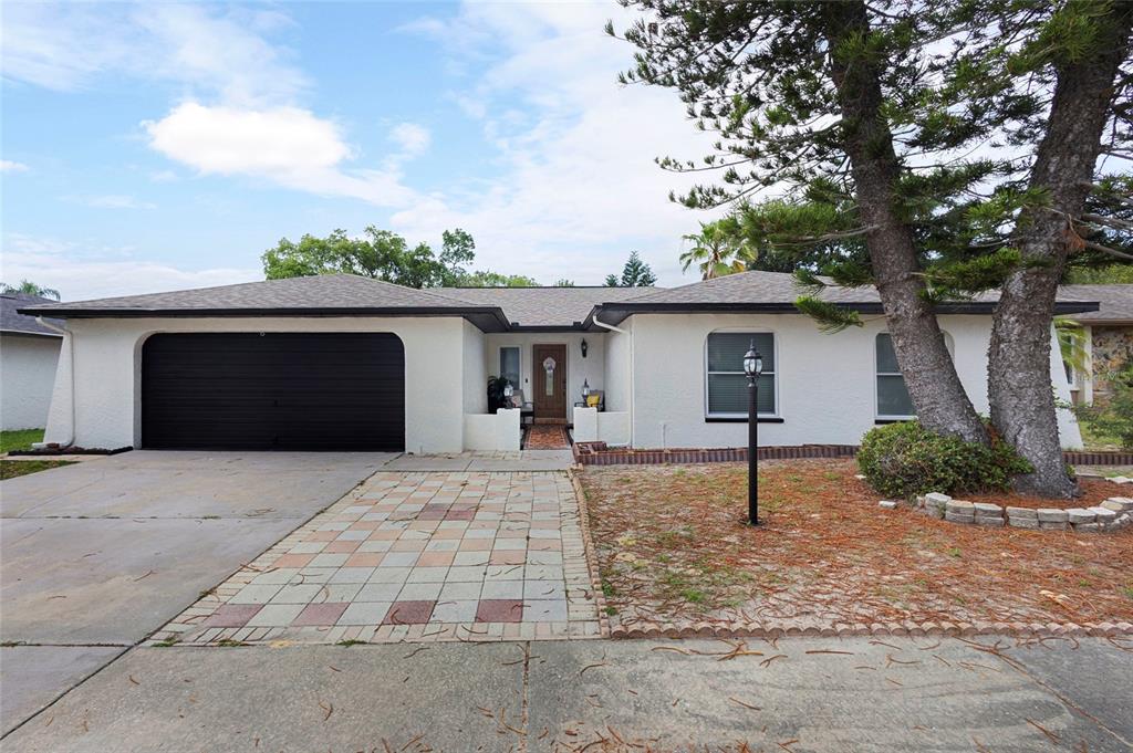 10951 Peppertree Lane Port Richey, FL 34668 - Photo 2 of 40