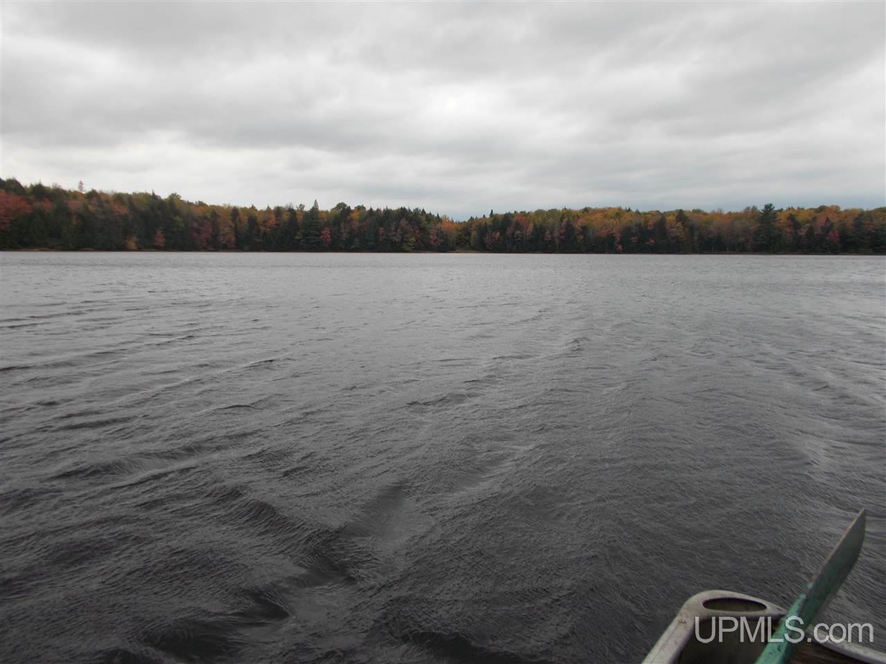 Clark Lake Jack Spurr Road Wakefield, MI 49968 - Photo 12 of 20
