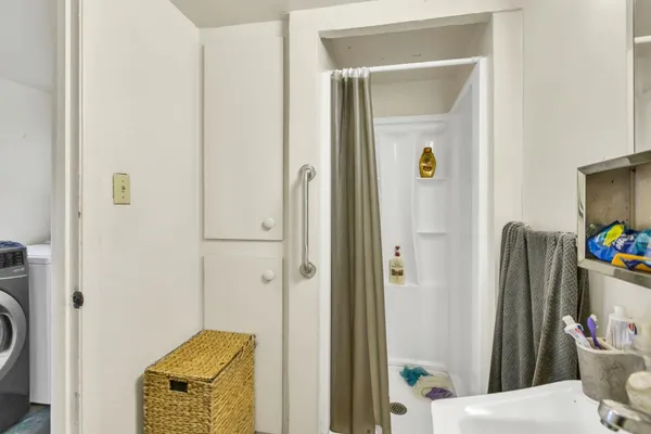 a view of a yard with plants and trees