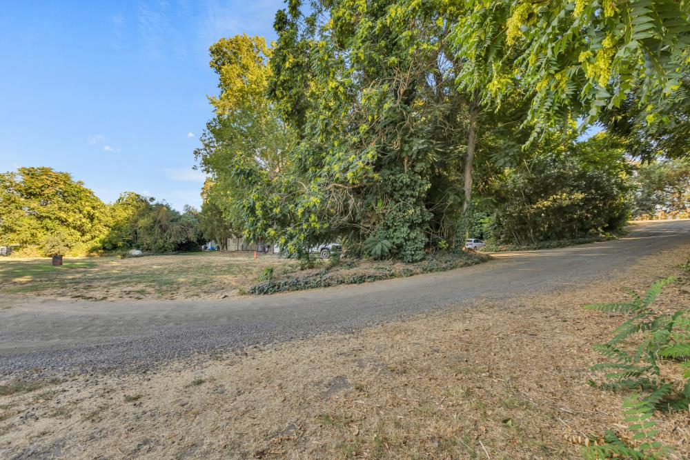 53140 South River Road Clarksburg, CA 95612 - Photo 48 of 66 a view of a yard with a tree