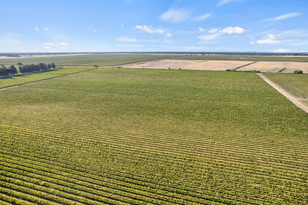 $1,870,000 | 53140 South River Road, Clarksburg, CA 95612
