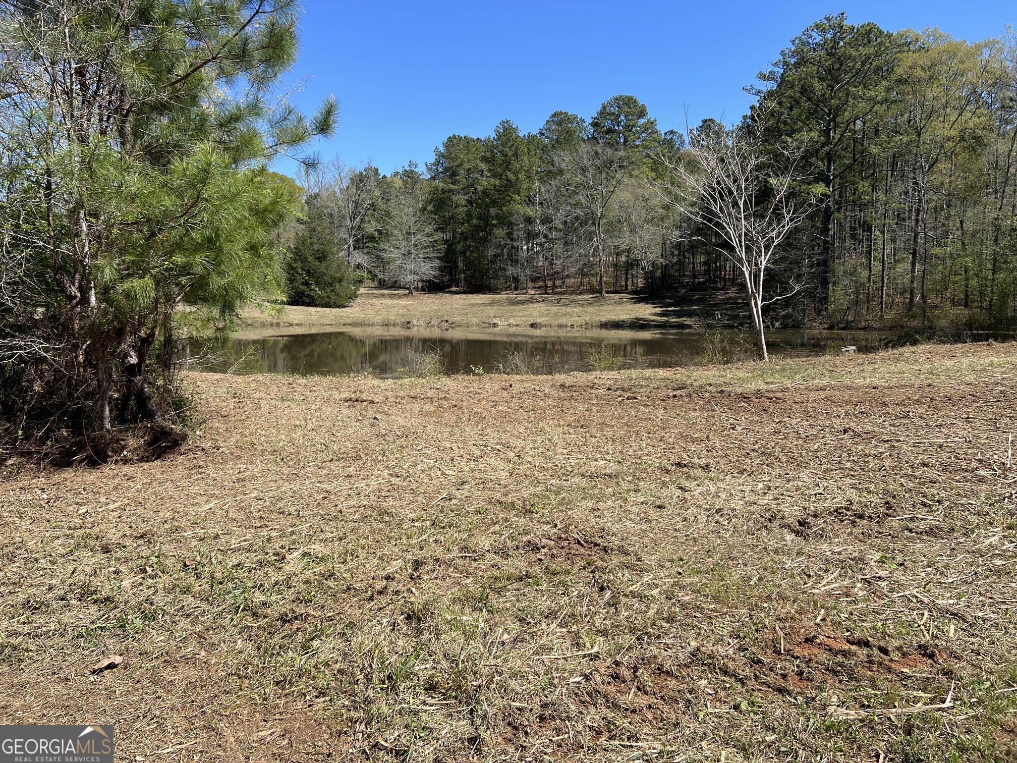 1073 Blount Road Jackson, GA 30233 - Photo 21 of 34