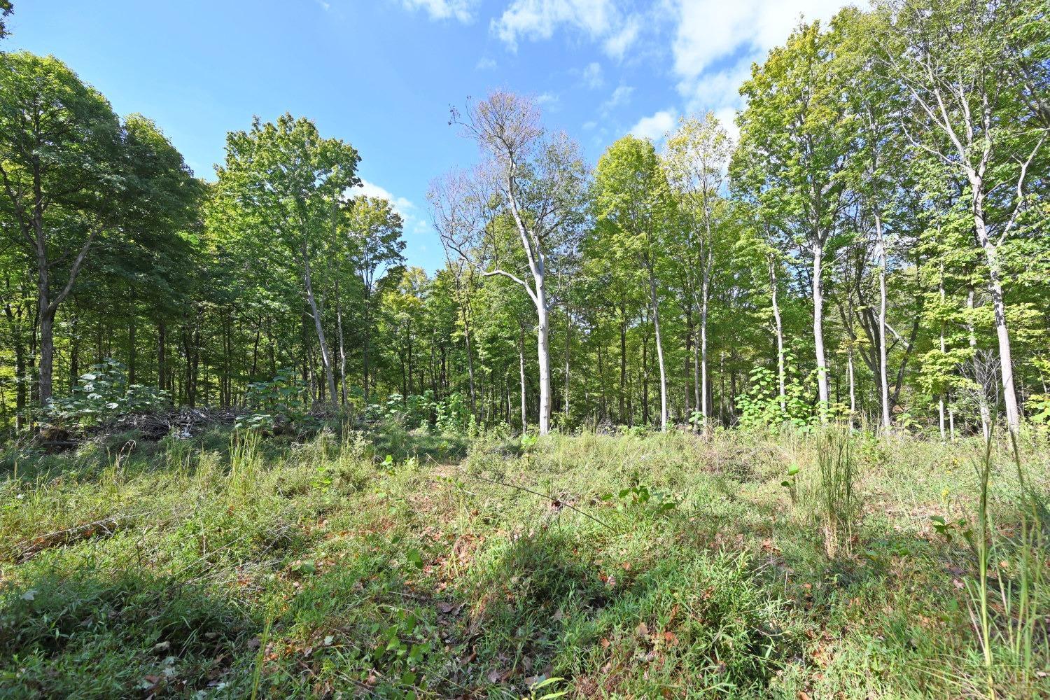 3301 Mt Carmel Road Cincinnati, OH 45244 - Photo 21 of 30
