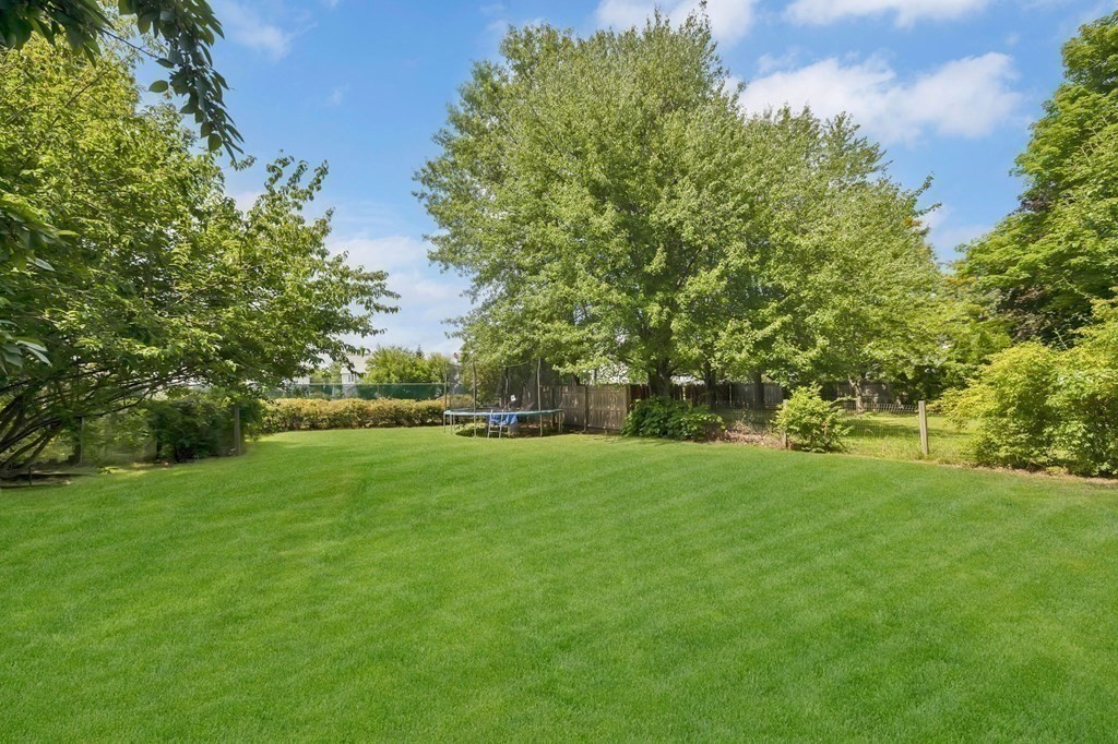 105 Pine Street West Springfield, MA 01089 - Photo 30 of 35 a view of a field of grass and trees