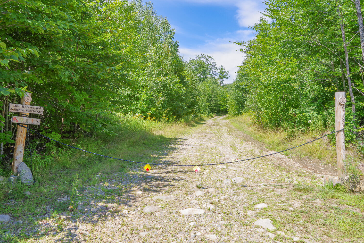 Tbd Daisy Bryant Road Bethel, ME 04217 - Photo 20 of 28 Locke Mtn Rd Bethel 20-(ZF-9778-14346-1-