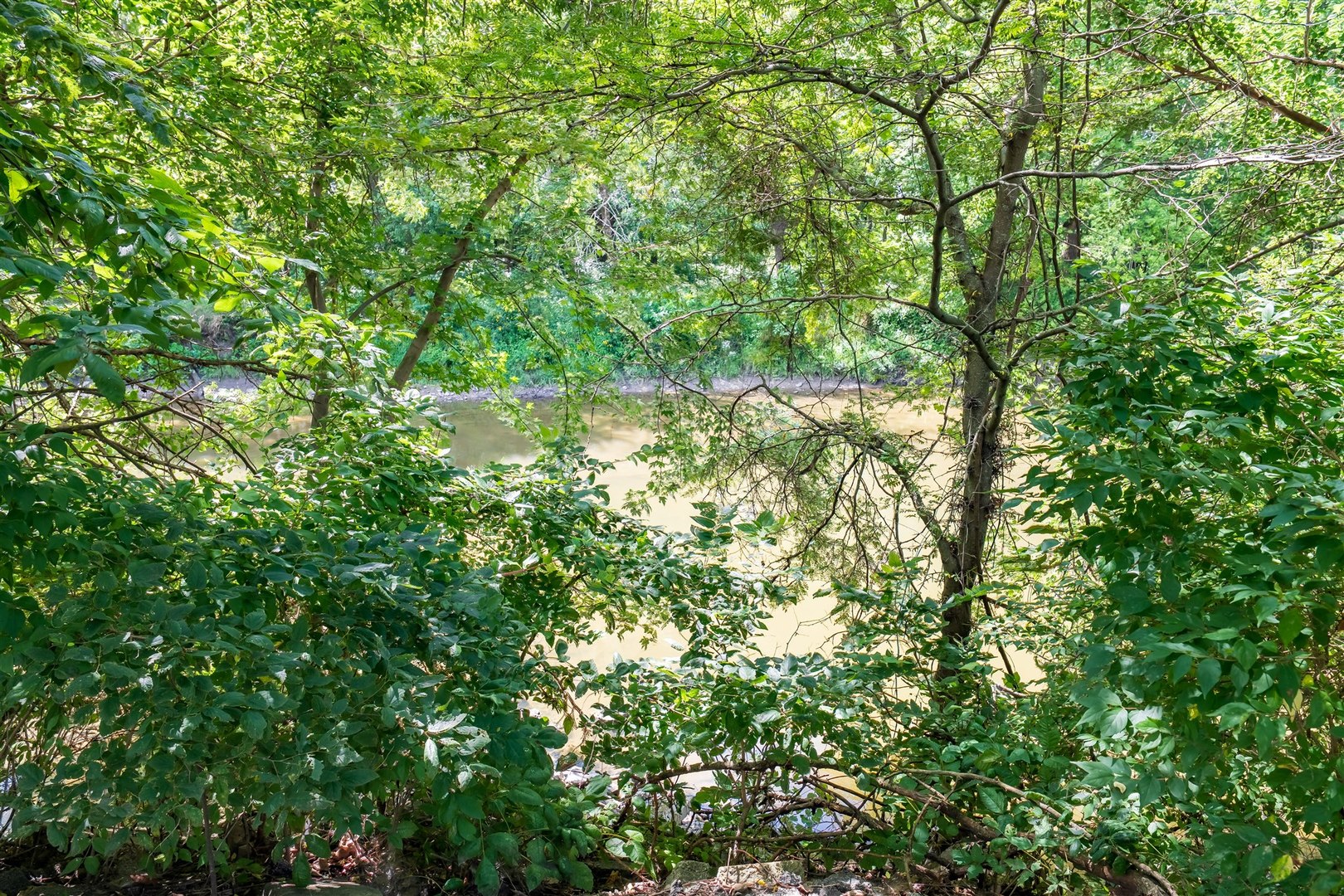 19097 1330 E Road Pontiac, IL 61764 - Photo 35 of 48 a view of a yard
