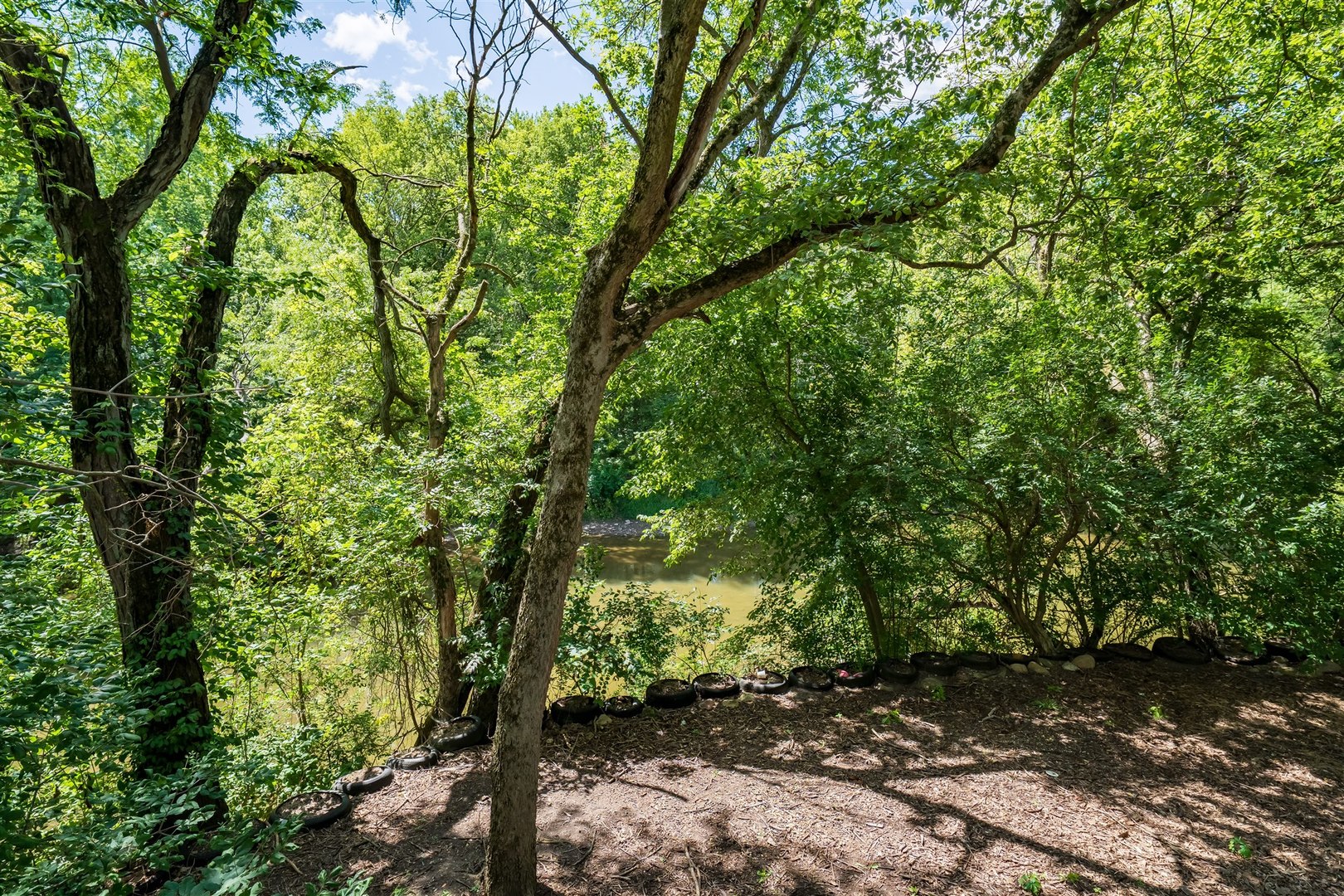 19097 1330 E Road Pontiac, IL 61764 - Photo 36 of 48 a backyard of a house with lots of green space