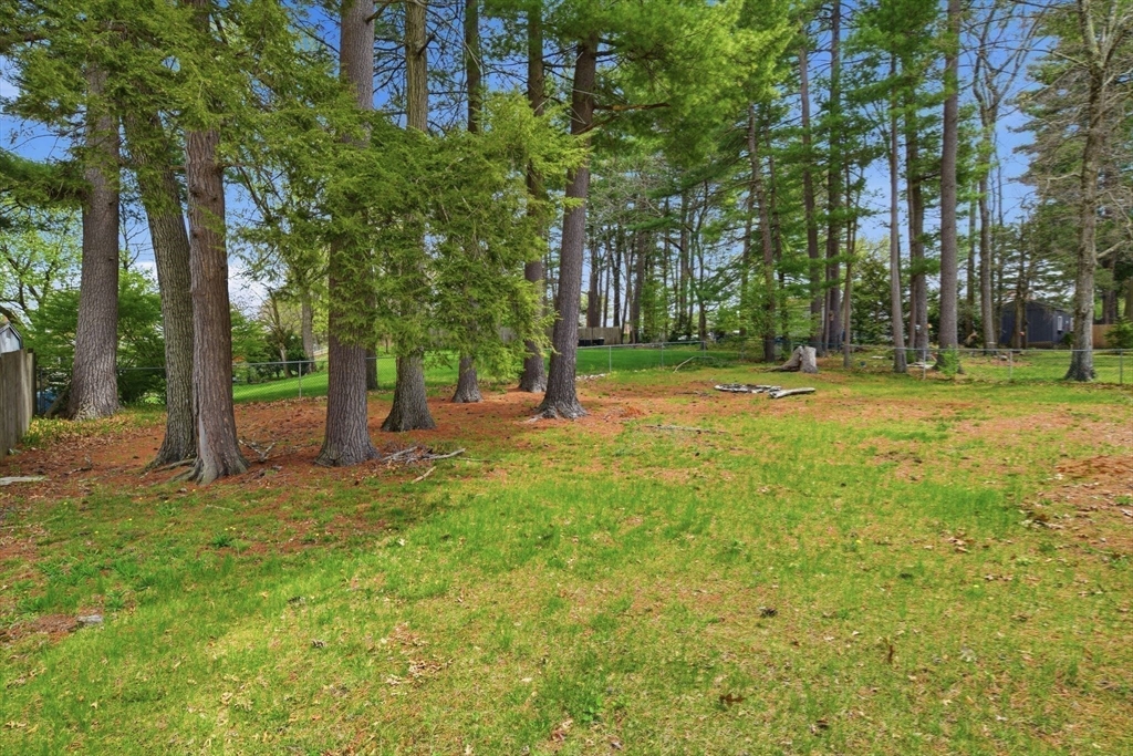 33 Overhill Drive Springfield, MA 01129 - Photo 16 of 31