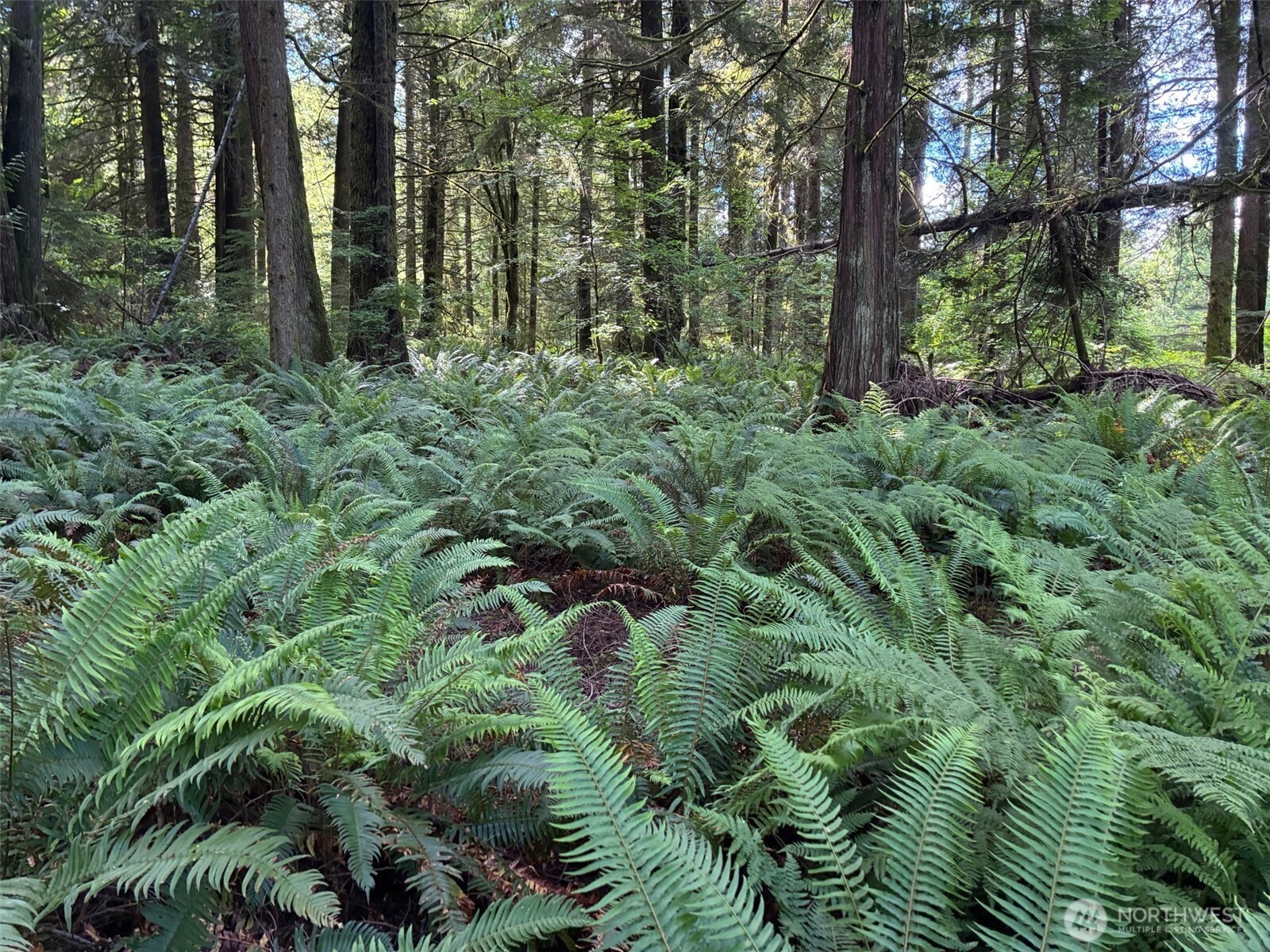 1108 Connors Road Snohomish, WA 98290 - Photo 3 of 7