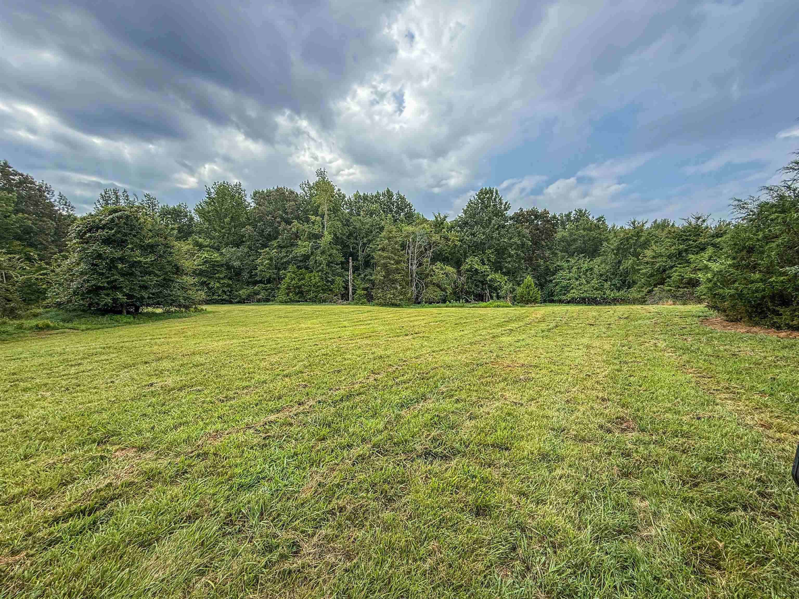 Country Club Road Somerville, TN 38068 - Photo 1 of 22 View of grassy yard with a wooded view