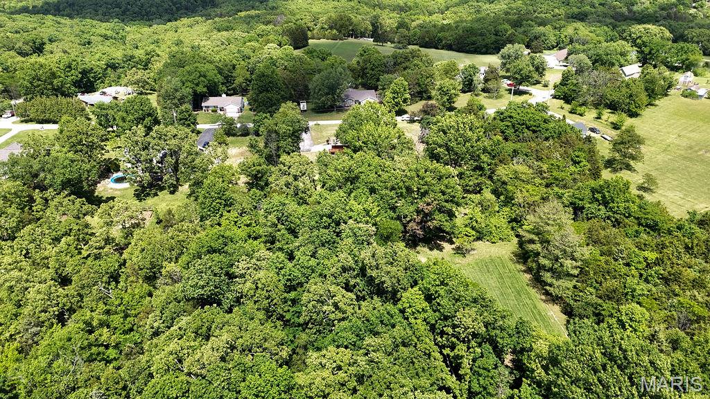 3318 Watson Road Festus, MO 63028 - Photo 38 of 43