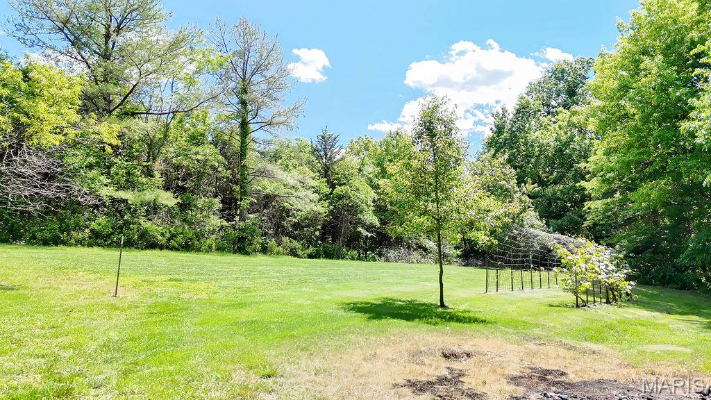 3318 Watson Road Festus, MO 63028 - Photo 39 of 43