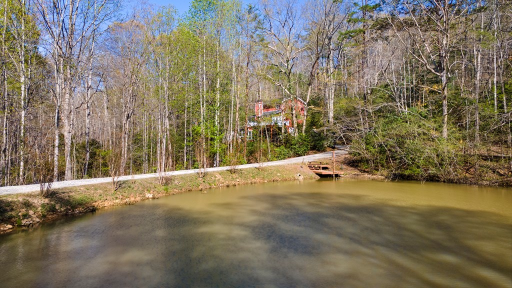 435 Richlen Rdg Road Morganton, GA 30560 - Photo 9 of 54 Gallery Image 9