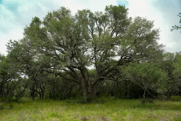 $359,900 | Lot 29 Shorebird Lane, Columbus, TX 78934