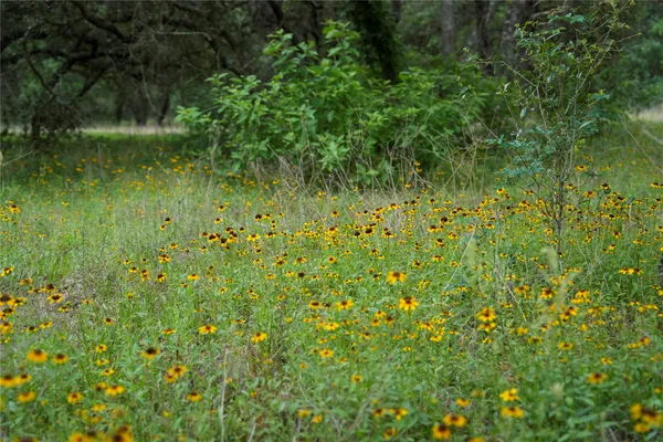 $359,900 | Lot 29 Shorebird Lane, Columbus, TX 78934