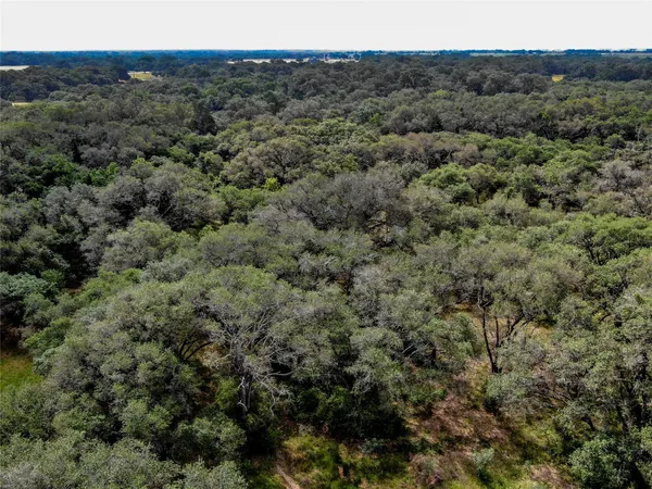 $359,900 | Lot 29 Shorebird Lane, Columbus, TX 78934