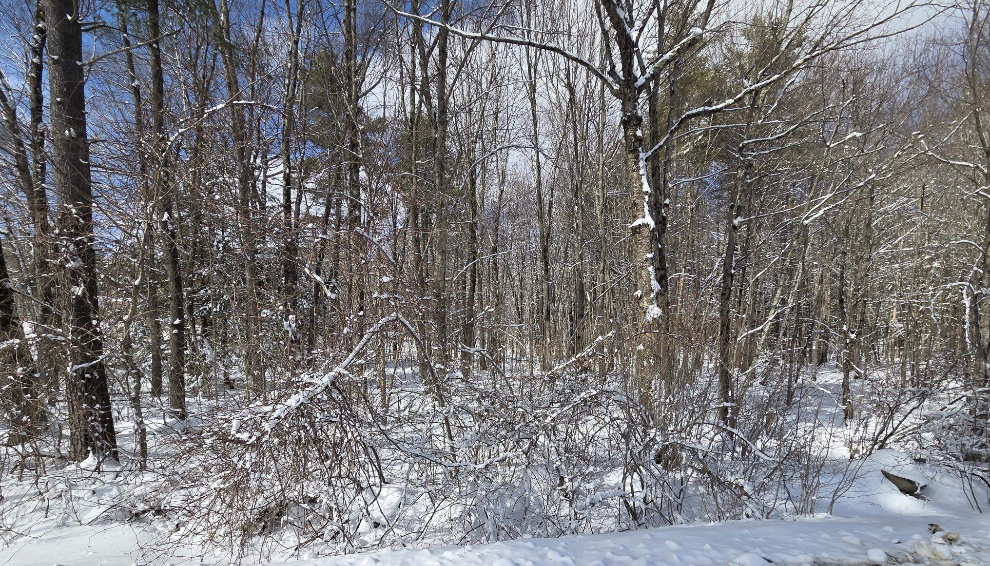 79-1 Currier Road Candia, NH 03034 - Photo 2 of 8