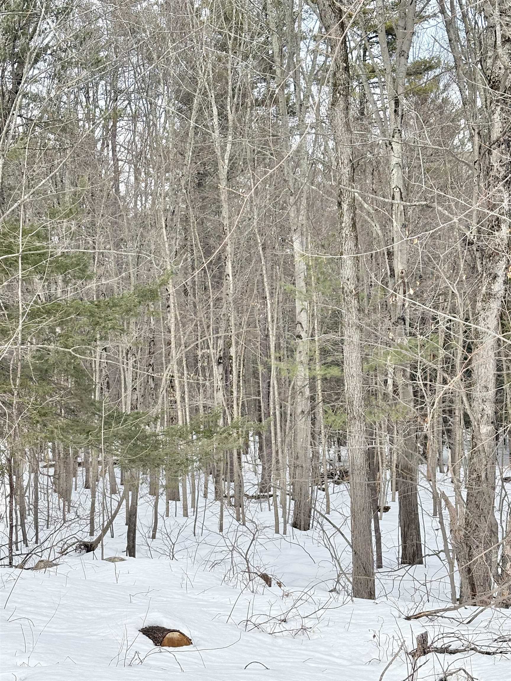 79-1 Currier Road Candia, NH 03034 - Photo 3 of 8