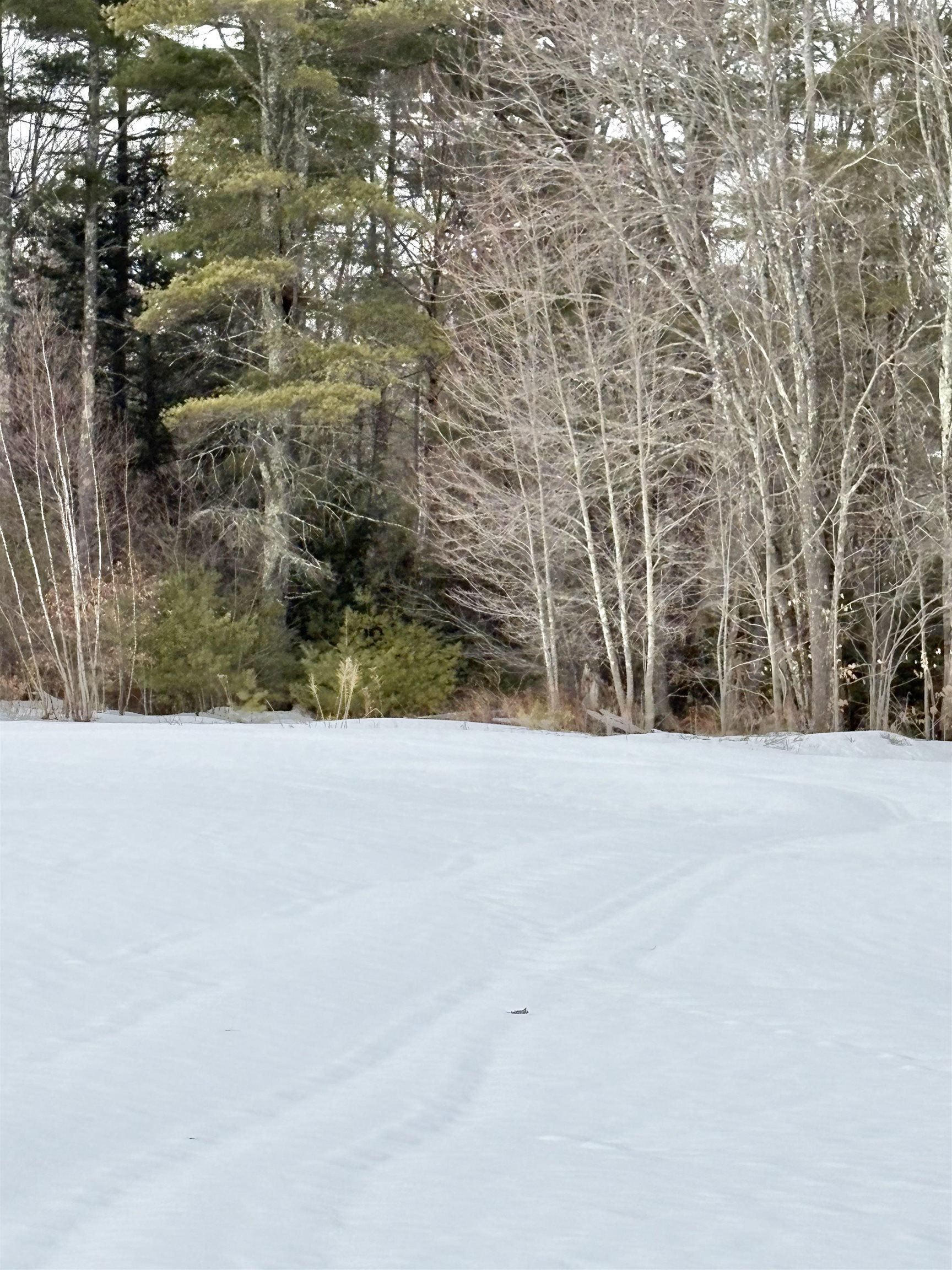 79-1 Currier Road Candia, NH 03034 - Photo 5 of 8