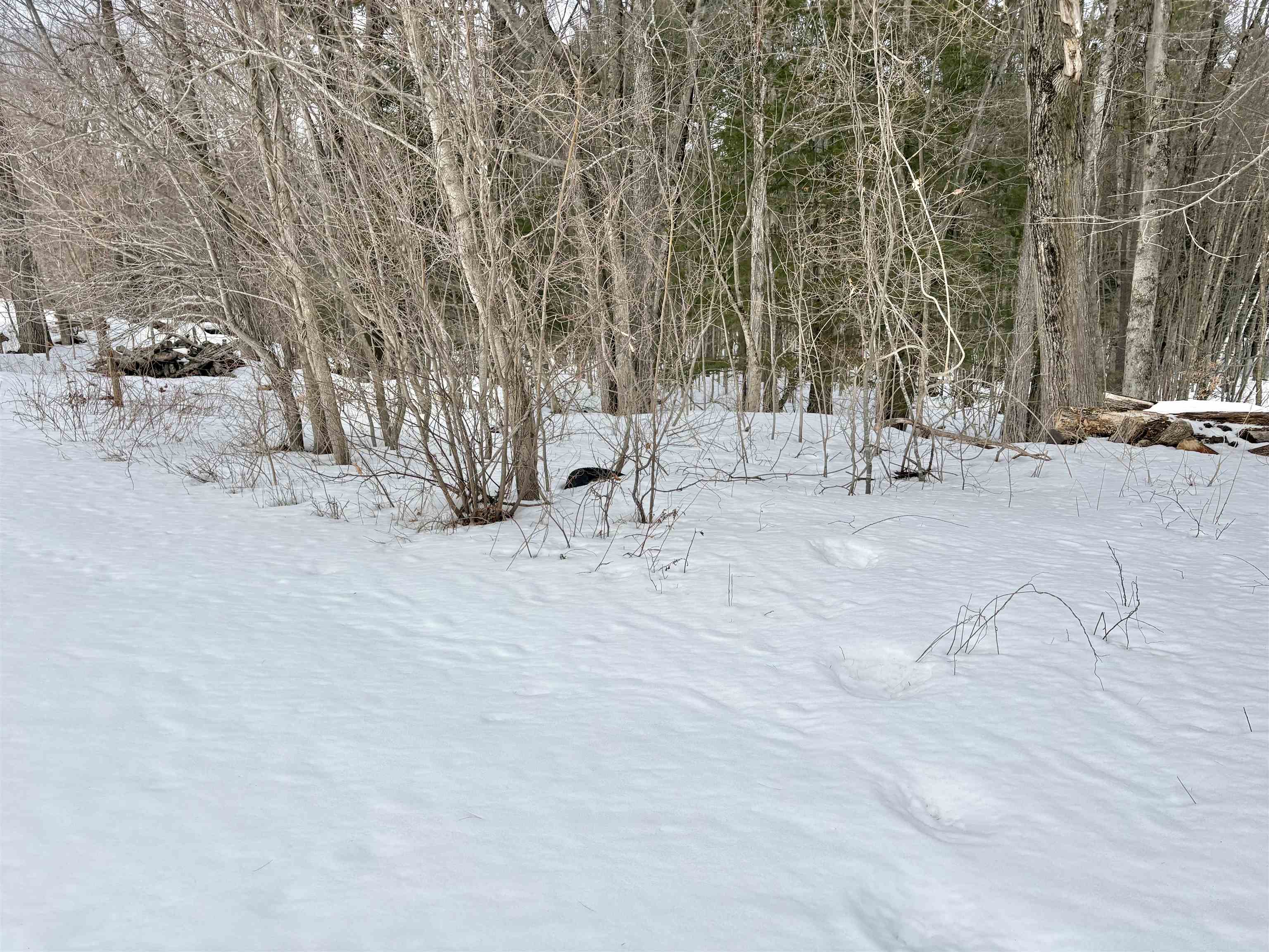 79-1 Currier Road Candia, NH 03034 - Photo 6 of 8