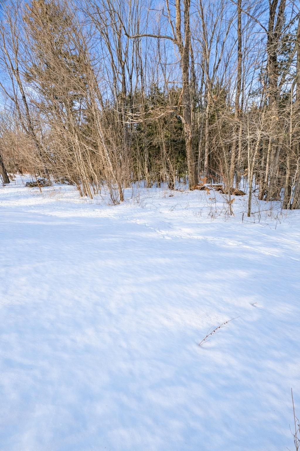 79-1 Currier Road Candia, NH 03034 - Photo 7 of 8