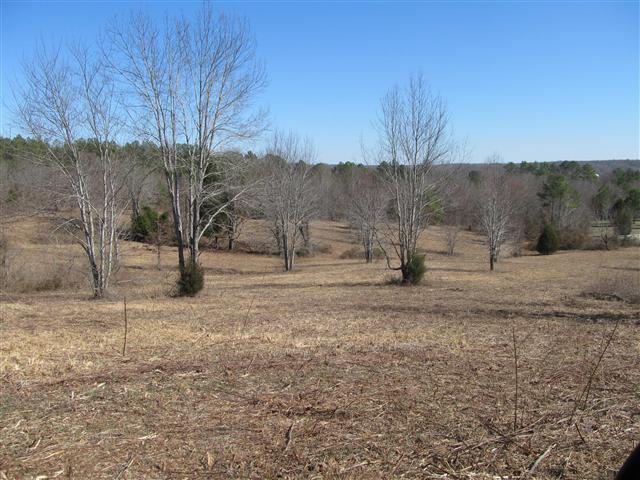 365 Sickler Road Hohenwald, TN 38462 - Photo 6 of 6 Gallery Image 6
