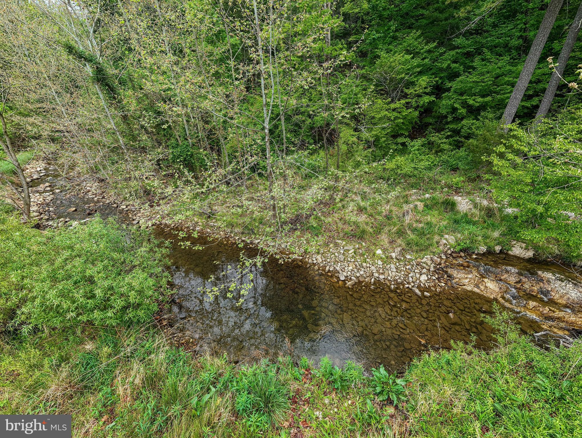 2645 Dry Run Road Luray, VA 22835 - Photo 65 of 80 Gallery Image 65