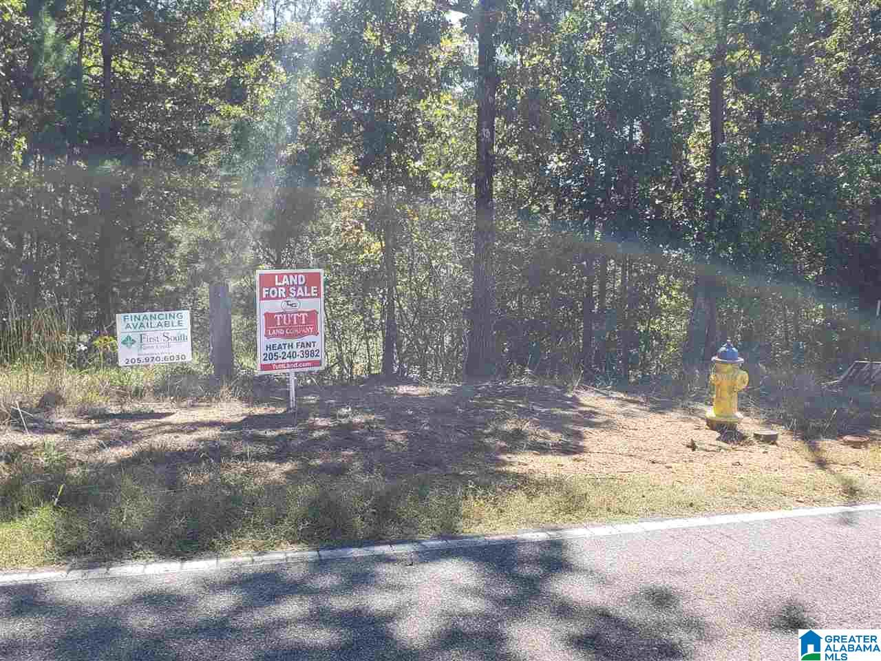 Lot 9 Redman Hall Road, Unit 1 Oneonta, AL 35121 - Photo 9 of 10