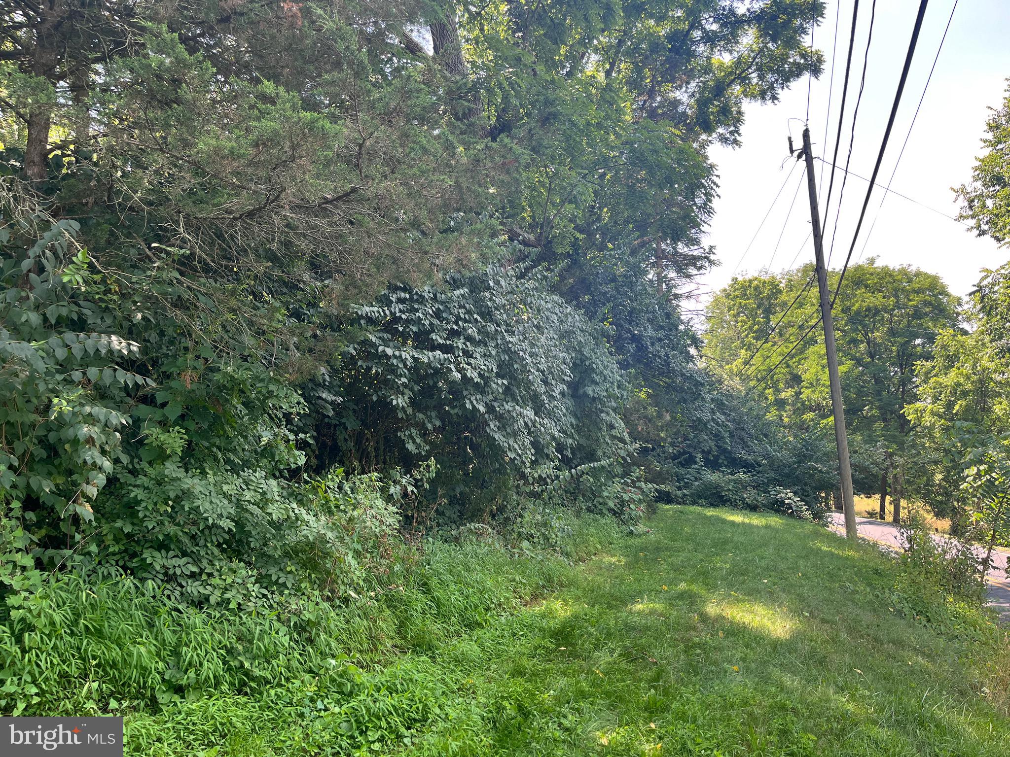 220 West Mt Airy Road Stevens, PA 17578 - Photo 16 of 19 a view of a lush green forest