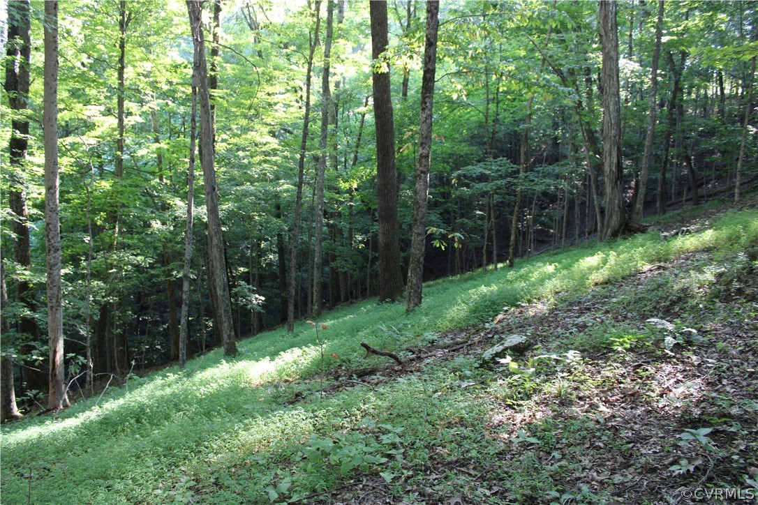 8133 Stanley Valley Road Gate City, VA 24251 - Photo 41 of 50 Gallery Image 41