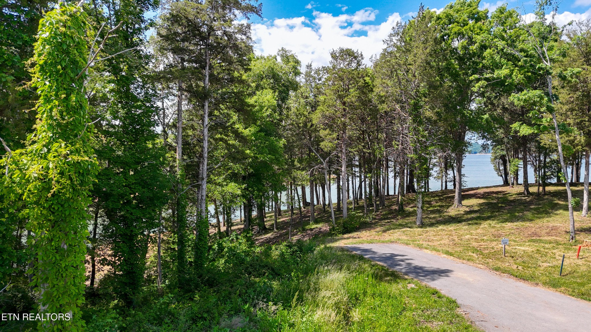 123 Ridge Point Trail Dandridge, TN 37725 - Photo 26 of 36