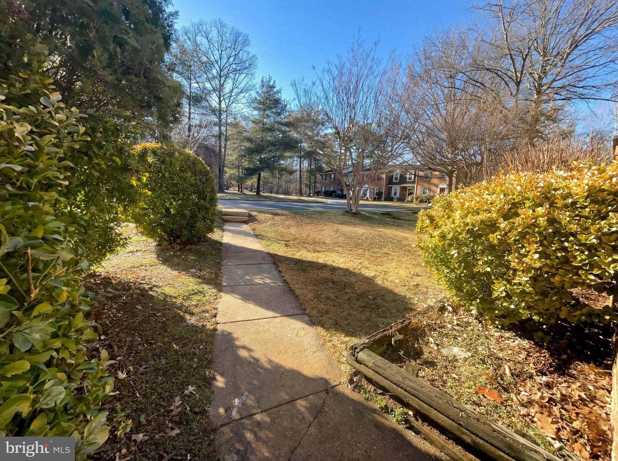 6352 Shaundale Drive Springfield, VA 22152 - Photo 11 of 50 a view of a yard with an outdoor space