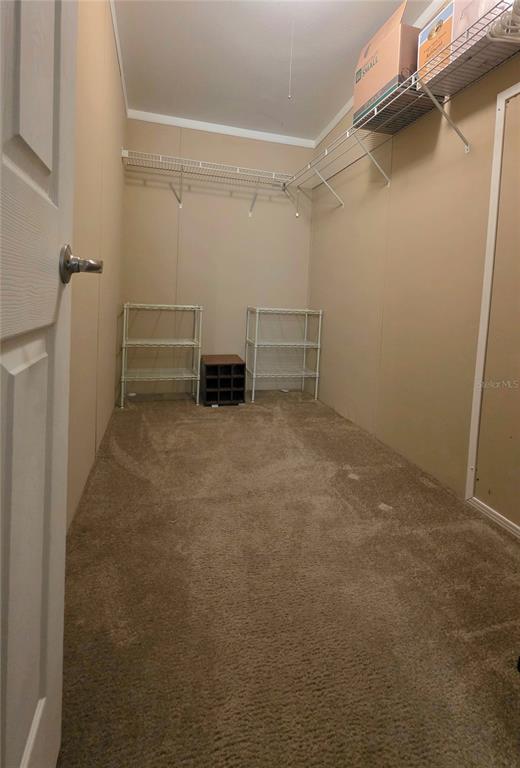36740 Strand Drive Zephyrhills, FL 33542 - Photo 40 of 74 a view of utility room with racks on the wall