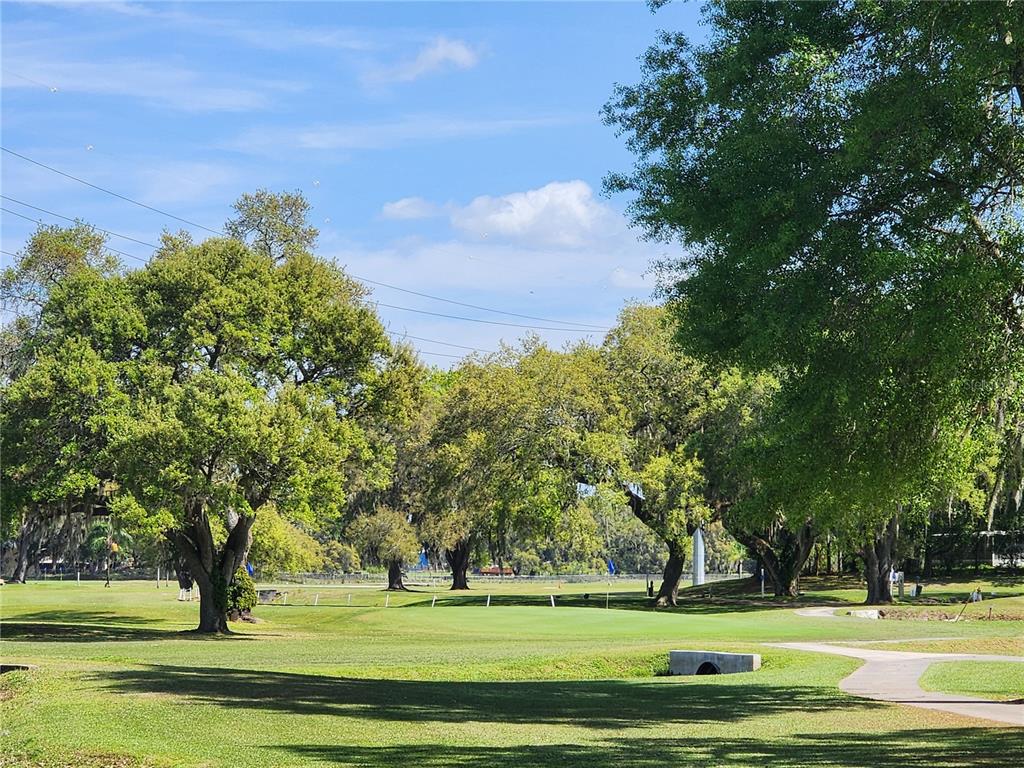 36740 Strand Drive Zephyrhills, FL 33542 - Photo 47 of 74