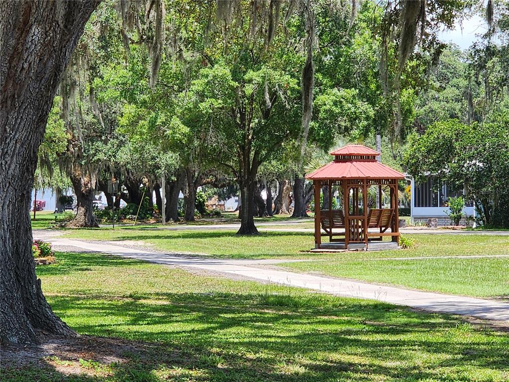 36740 Strand Drive Zephyrhills, FL 33542 - Photo 55 of 74 a view of a park with large trees and a barn in it