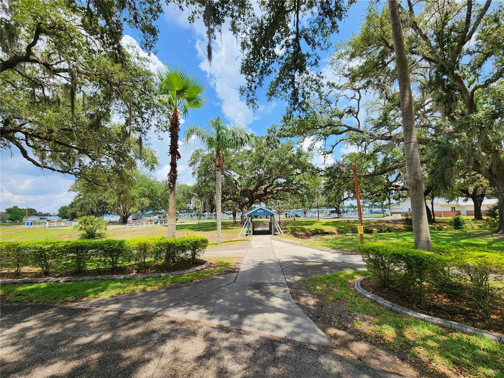 36740 Strand Drive Zephyrhills, FL 33542 - Photo 56 of 74 a view of a park with large trees