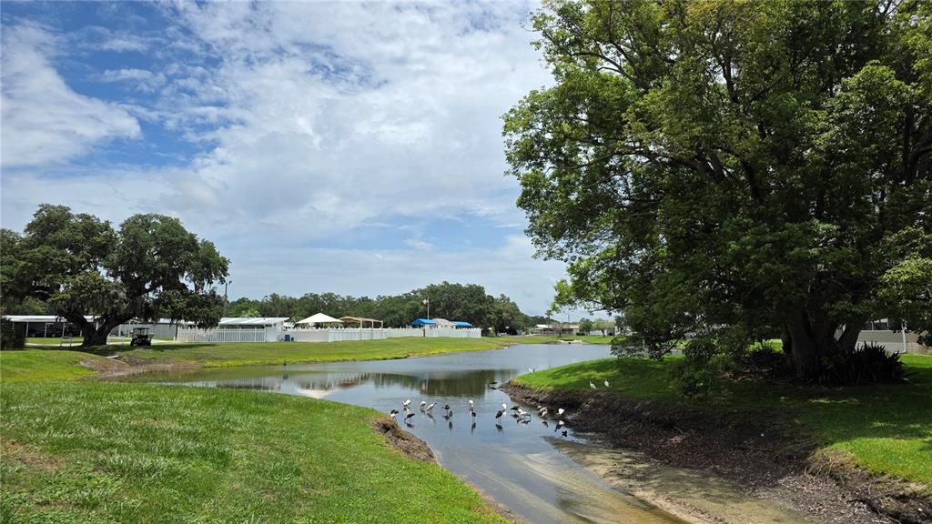36740 Strand Drive Zephyrhills, FL 33542 - Photo 6 of 74 a view of a golf course with a lake