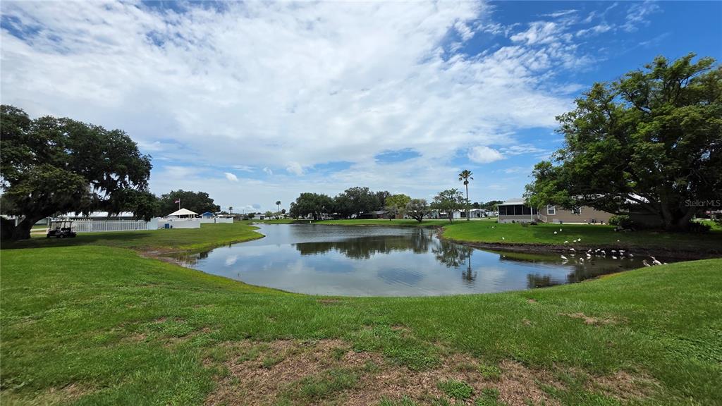 36740 Strand Drive Zephyrhills, FL 33542 - Photo 7 of 74 a view of a lake from a yard