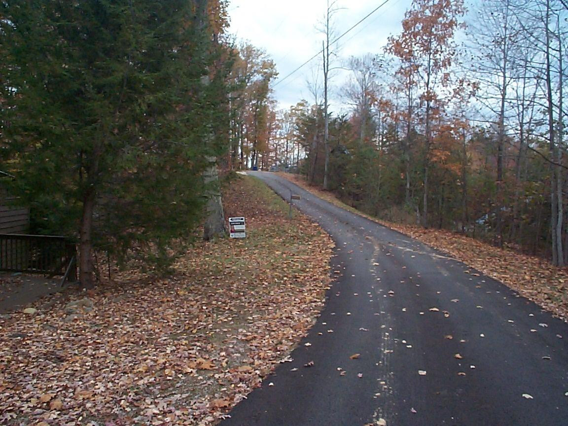 357 Turkey Ridge Road Wellington, KY 40387 - Photo 5 of 59 Photo 5
