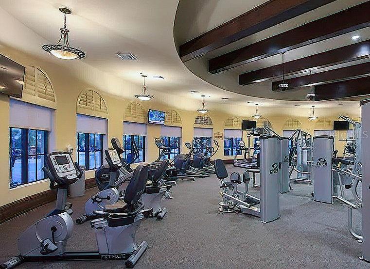 12728 Richezza Drive Venice, FL 34293 - Photo 59 of 78 Gallery Image 59