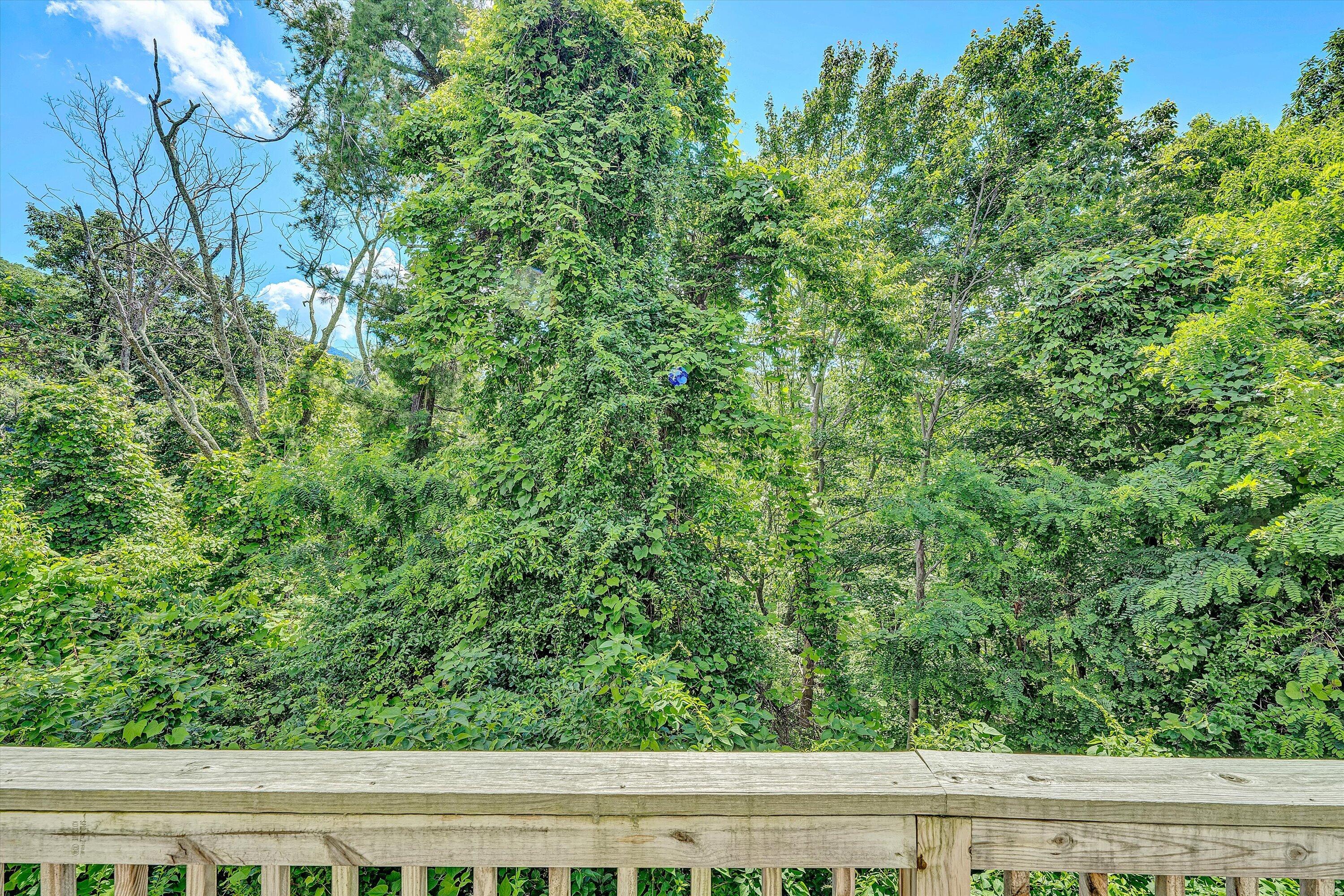 777 Hicks Hollow Road Boones Mill, VA 24065 - Photo 35 of 46 34-SGP-01408